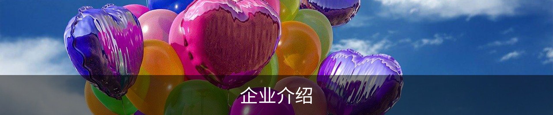 企业介绍